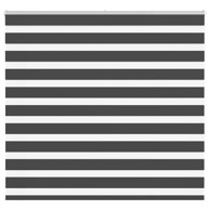 Zavjesa zebra crna 165x150 cm širina tkanine 160,9 cm poliester