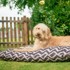 P.L.A.Y. Krevet za pse Outdoor Bed Barn Raven Black L, 90×120 cm, crni