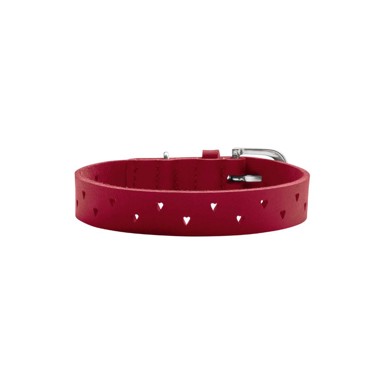 HUNTER Ogrlica za pse Aalborg Soul, XXS-XS, kožna, crvena