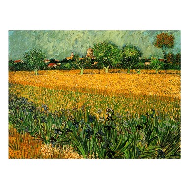 FEDKOLOR Reprodukcija slike Vincenta Van Gogha 40 x 30 cm View of arles with irises in the foreground 