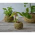 ESSCHERT DESIGN Posuda za cvijeće ø 9 cm Kokedama 