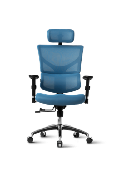 ERGOVISION Ergonomska uredska stolica Smart Basic, plava