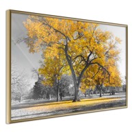 Poster Golden Tree 60x40