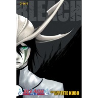 Bleach 3-in-1 vol. 14