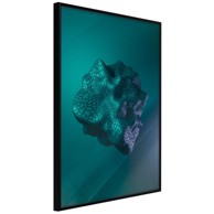 Poster Sea Fossil 20x30