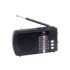 TREVI Radio prijemnik, FM, BT, USB, microSD crni RA 7F20 BT