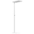 LED podna lampa