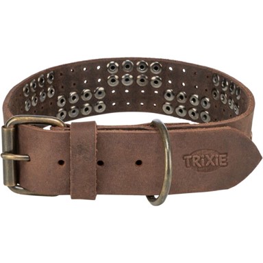 TRIXIE Ogrlica za pse Rivet kožna, S–M (34–40 cm / 30 mm), smeđa