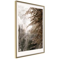 Poster Pond in the Park 40x60