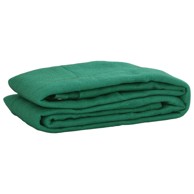 Mreža za prikolicu 2.5 x 3.5 m HDPE, zelena