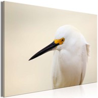 Slika Snowy Egret Wide 90x60