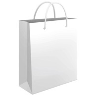FORNAX Vrećica ukrasna, 24x39x9 cm sjajna plastifikacija, bijela