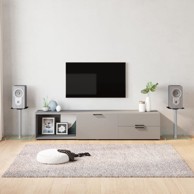 Stalci za zvučnike (2 kom, srebrni, od kaljenog stakla s 1 stupom)