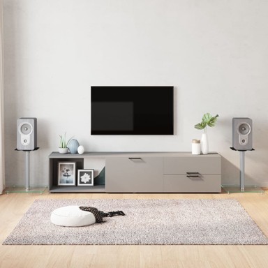 Stalci za zvučnike (2 kom, srebrni, od kaljenog stakla s 1 stupom)