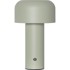 STAR TRADING Zelena LED stolna lampa (visina 21,5 cm) Bobby 
