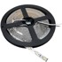 LED Traka 3528, 60SMD/m, IP20, 5 m, plava