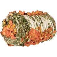 TRIXIE Poslastica za glodavce s bučom i mrkvom