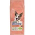 DOG CHOW Suha hrana za pse Adult Active Piletina, 14 kg