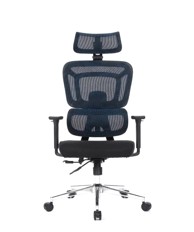 ERGOVISION Ergonomska stolica APOLLO 06