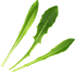 SMART GARDEN Aurelia Classic “Probava” set