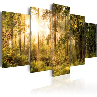 Slika Magic of Forest 200x100