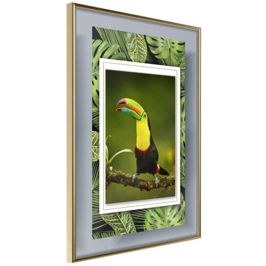 Poster Toucan in the Frame 20x30
