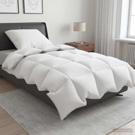 Zimski set popluna i jastuka FULDA s 90% guščjeg paperja 152 x 203 cm, 300 g/m², 2 kom., bijeli
