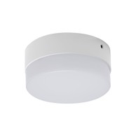 LED Stropna svjetiljka Robin, C, 12W, 4000K
