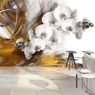 Foto tapeta Orchid on fire 350x245
