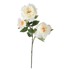 Rezano cvijeće Grana božur 69 cm GFS005566