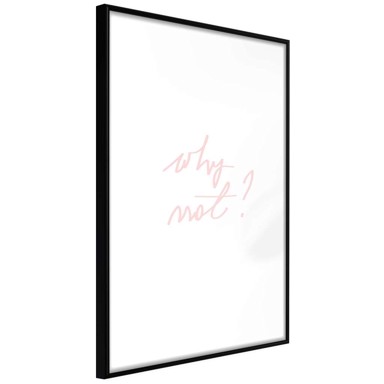 Poster Why Not? 20x30