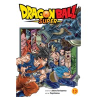 Dragon Ball Super vol. 13