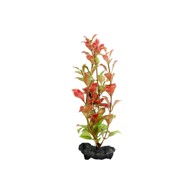 TETRA Umjetno bilje DecoArt Red Ludwigia L