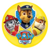 Lopta LED PAW PATROL 10cm