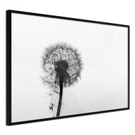Poster Waiting for the Wind 90x60
