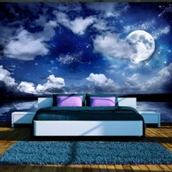 Samoljepljiva foto tapeta Magic night 392x280