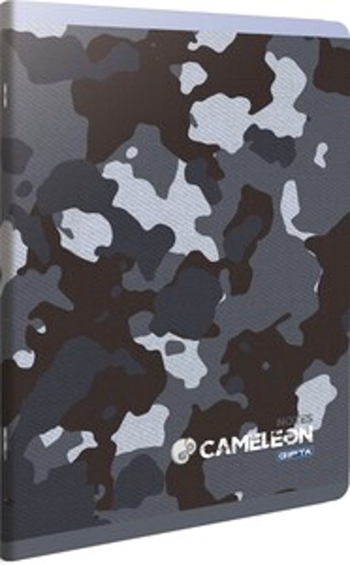 GIPTA Bilježnica Cameleon A4, 40 listova, geometrijska