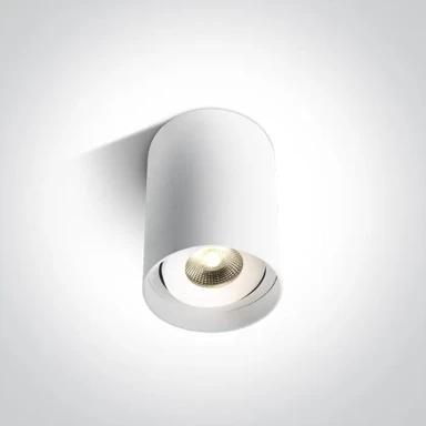 Nadgradni reflektor, DM12110D/W/W, LED, 10W, 3000K, 800 lm, 230V, bijela