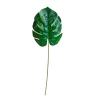 Rezano cvijeće Grana monstera 58 cm