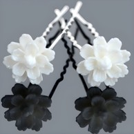 Ukosnica White Flower