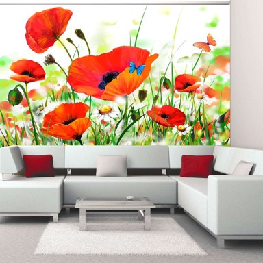 Foto tapeta Country poppies 200x154