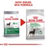 ROYAL CANIN CCN Mini Digestive Care, za odrasle i starije pse malih pasmina (od 1 do 10 kg) - Stariji od 10 mjeseci - Psi skloni osjetljivoj probavi, 1 kg