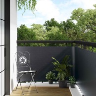 Balcony Ekran, tamnosivi, 1000 x 90 cm