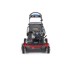 TORO Motorna kosilica 21810 Timemaster 76 cm