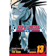 Bleach vol. 13