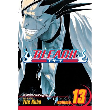 Bleach vol. 13