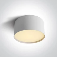 Stropna svjetiljka DM12120M/W/V, LED 20 W, CCT, IP20, bijela