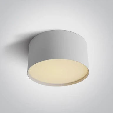 Stropna svjetiljka DM12120M/W/V, LED 20 W, CCT, IP20, bijela
