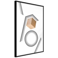 Poster Cube in a Trap 20x30