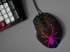 TRACER Gaming miš GAMEZONE Black Widow, bežični, crni
